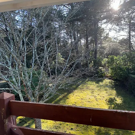 Océan Dans Le Golf Сasa de vacaciones *