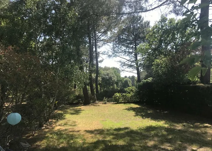 Océan Dans Le Golf *