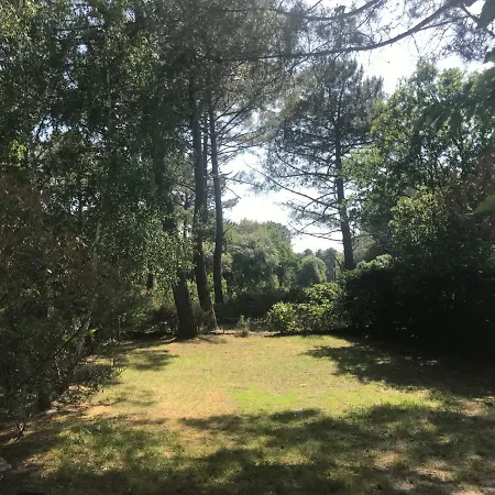 Ocean Dans Le Golf *