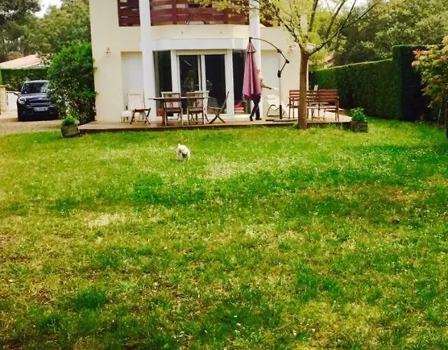 Ocean Dans Le Golf *